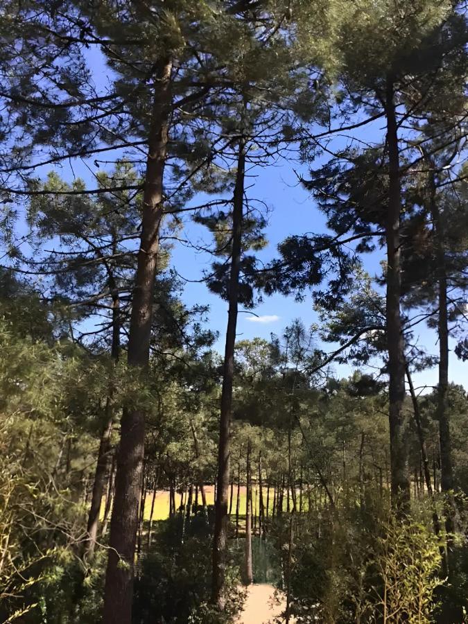 Un Nid Dans La Pinede Villa Lacanau Exterior foto